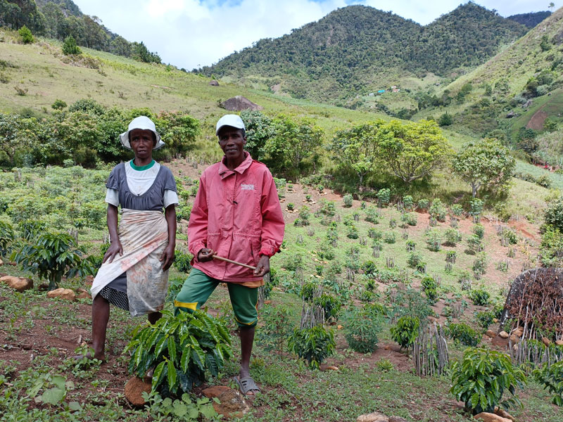 Energynger: Schutz des Primärwaldes und Schaffung grüner Arbeitsplätze in Madagaskar