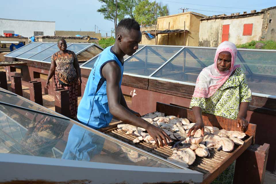 Fish’n smile : Bessere Bedingungen für Fischverarbeiterinnen im Senegal
